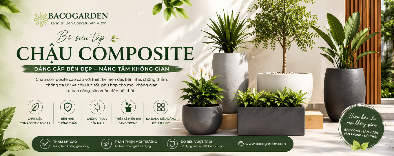 chậu composite