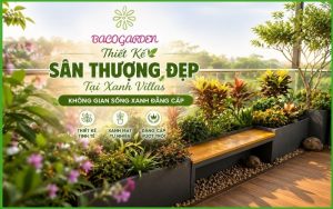 Thiết Kế Sân Thượng Đẹp